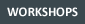 Workshops